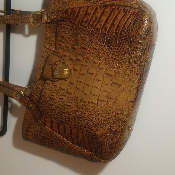 Brahmin - Picture 12 of 12